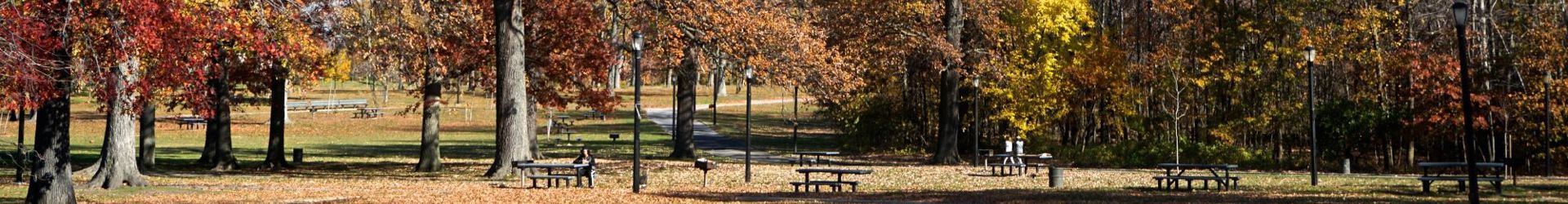 Pelham Shutterstock 1044343612 Cropped